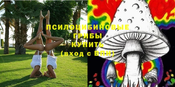первитин Армянск